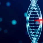 शव की राख से डीएनए टेस्ट कैसे होता है?