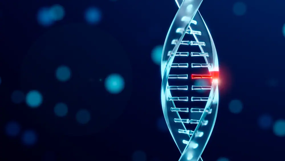 शव की राख से डीएनए टेस्ट कैसे होता है?